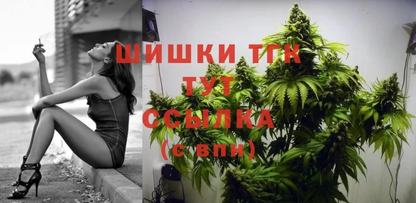 шишки Дмитриев