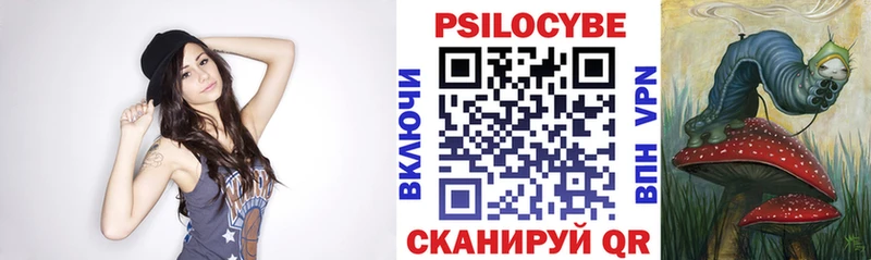 Купить закладки  Городец  Галлюциногенные грибы Psilocybine cubensis 